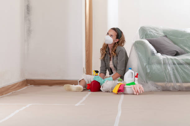 Reliable Mold Remediation contractor in Rockwood, PA by WQB Mold Removal